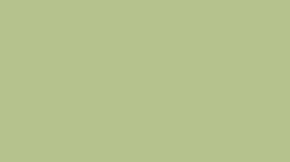 Verzierwachsplatte, Nr. 01, softgrün, 200 x 100 x 0,5 mm
