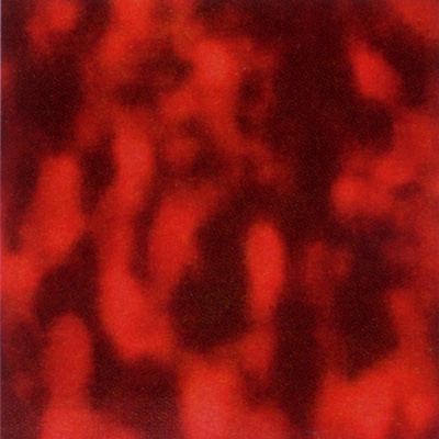 Verzierwachsplatte, Nr. 0346, Multicolor, 200 x 100 x 0,5 mm