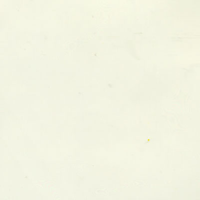 Verzierwachsplatte, Nr. 13, creme, 200 x 100 x 0,5 mm