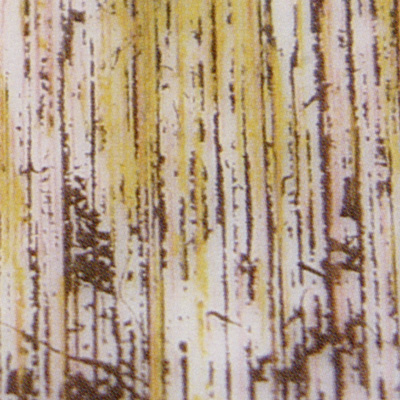 Verzierwachsplatte, Nr. 0906, Multicolor, 200 x 100 x 0,5 mm